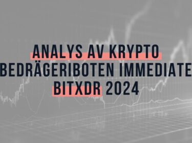 Analys av Krypto Bedrägeriboten Immediate BitXDR 2024